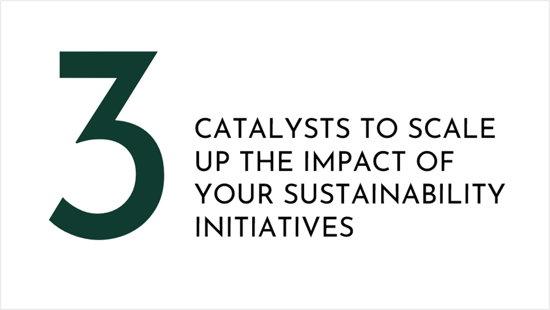 3 catalysts to scale up the impact of your sustainability initiatives